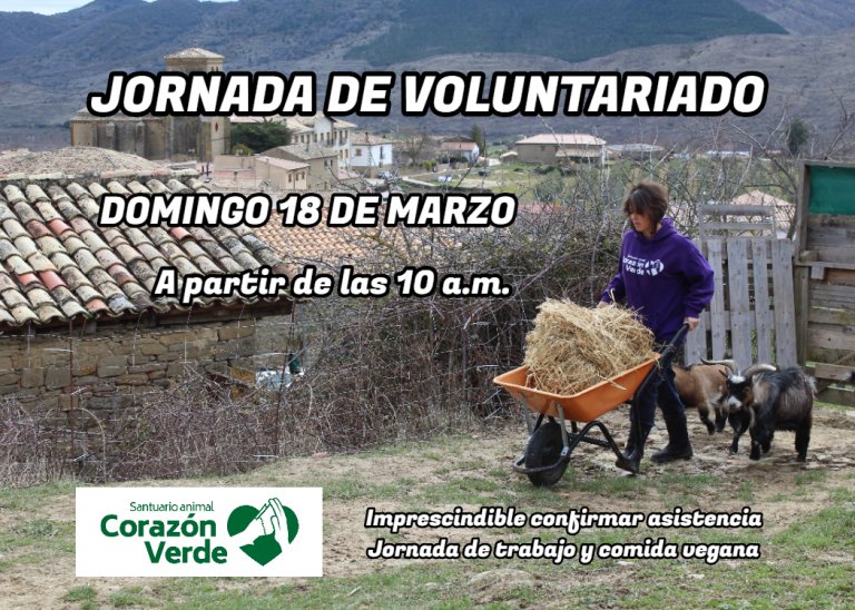 Jornada de voluntariado