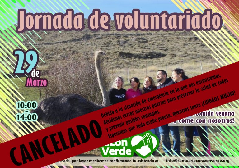 Voluntariado de Marzo