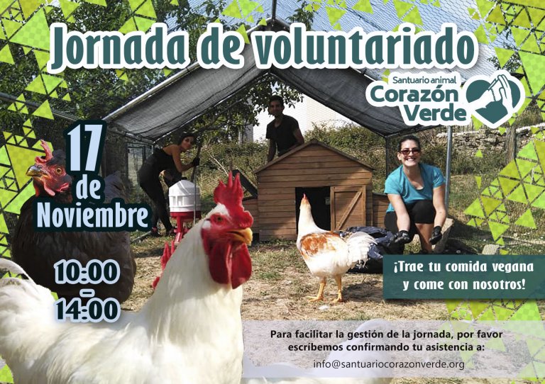 Voluntariado de Noviembre