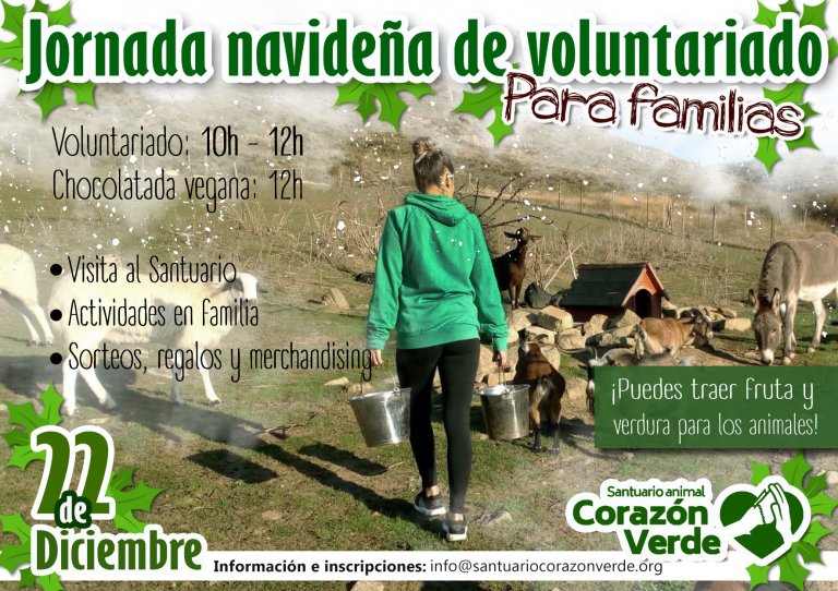 VOLUNTARIADO NAVIDEÑO