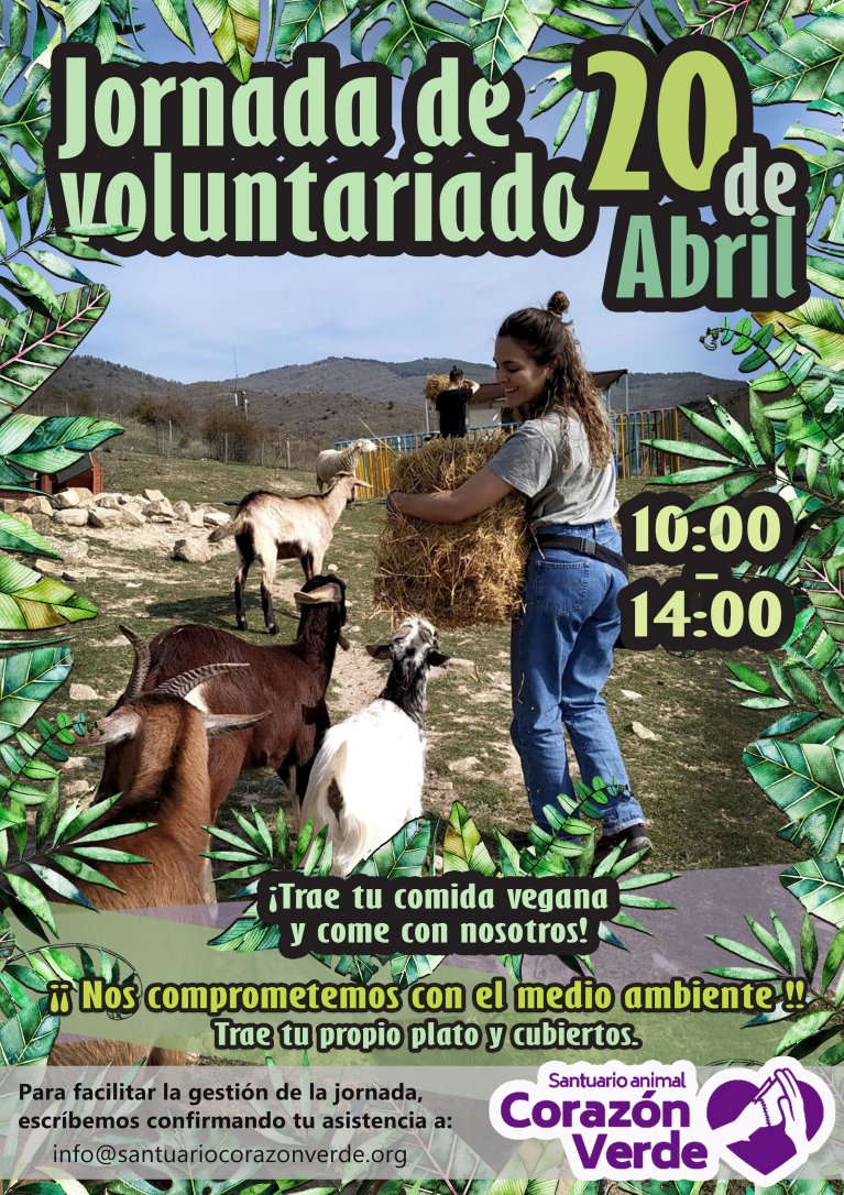 Voluntariado en Semana Santa