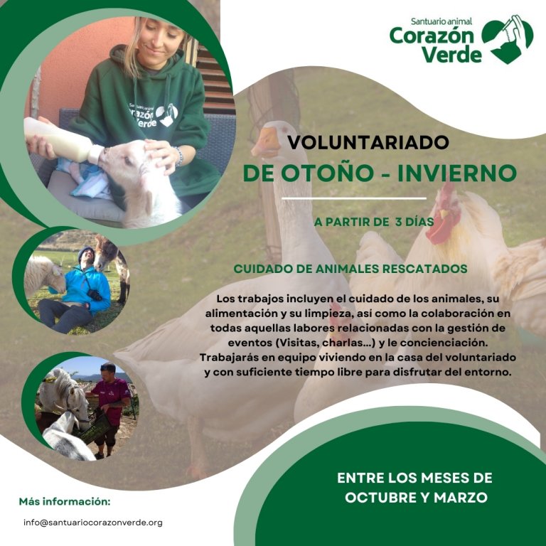 buscamos voluntari@s