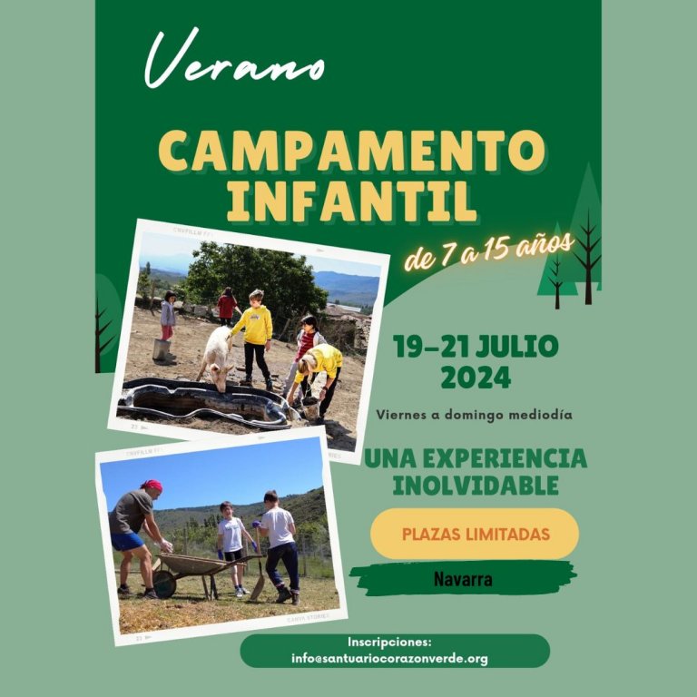 Campamento infantil 2024