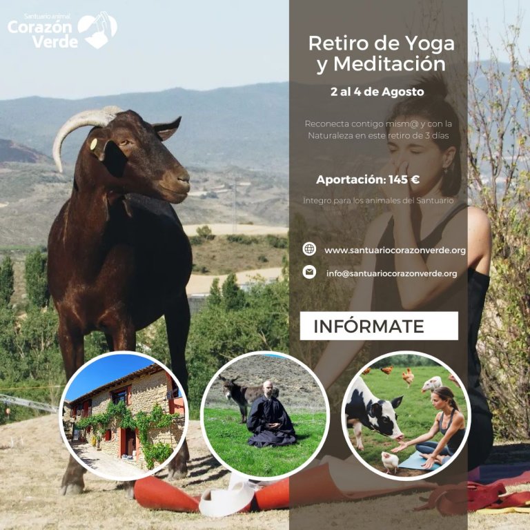 Retiro de Yoga en Agosto