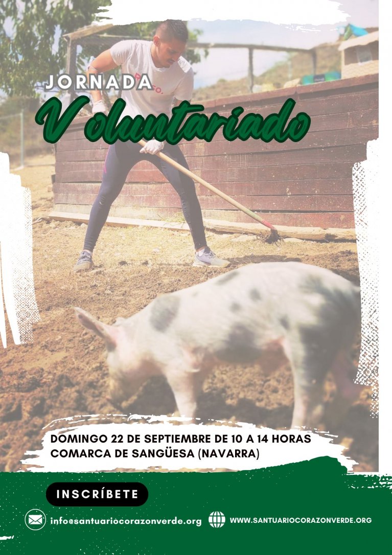 Voluntariado 22 Septiembre 2024