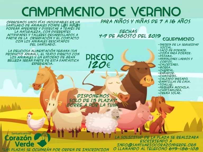 CAMPAMENTO DE VERANO