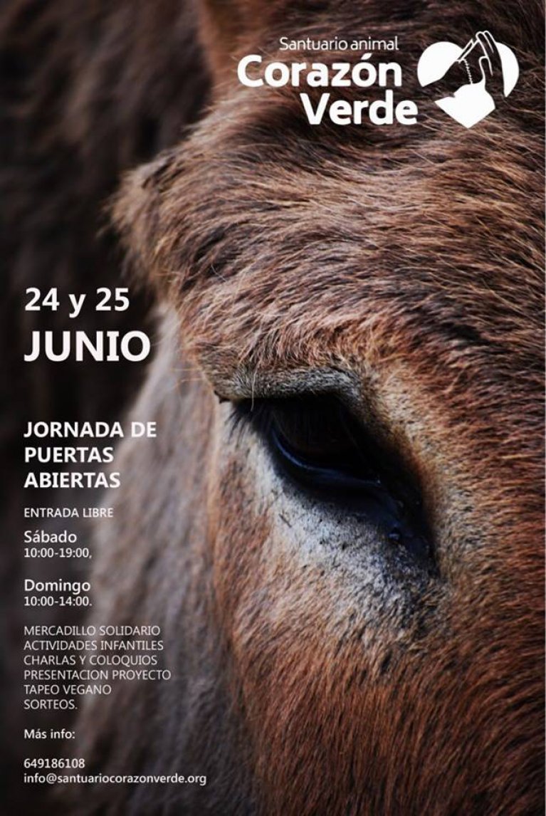 Jornadas de puertas abiertas