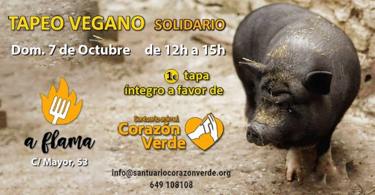 Tapeo vegano en Zaragoza