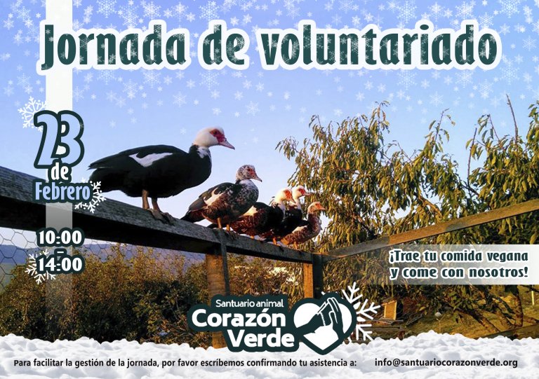 Voluntariado de Febrero